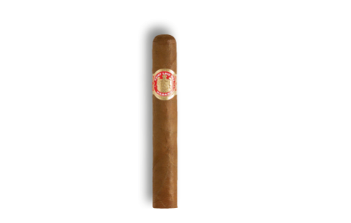 Saint Luis Rey Regios