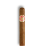 Saint Luis Rey Regios