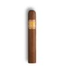 Rey Del Mundo Choix Supreme