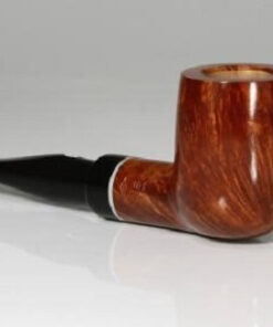 SA GAIUS NATURAL 101