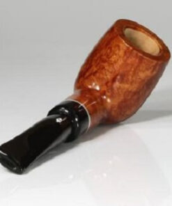 SA GAIUS NATURAL 101