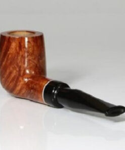 SA GAIUS NATURAL 101