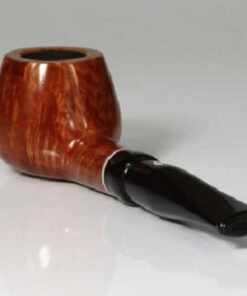 SA GAIUS NATURAL 345