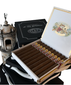 Humidor Gloria Cubana 500 Years Havana 2