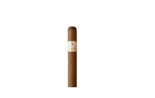 Villiger 1492 Robusto