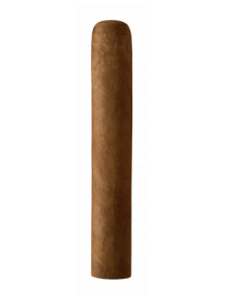 Cortez Robusto