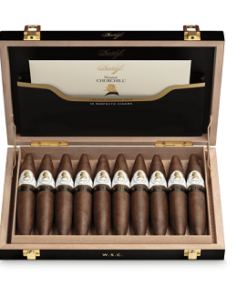 Davidoff Winston Churchill Limited Edition 2022 Perfecto Zigarre